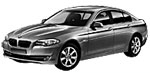 BMW F10 P0A85 Fault Code